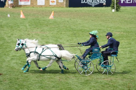 Colour coordinated outfits are optional