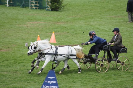 'Ooh, bit of a stretch...'