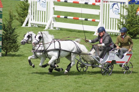 'Come on, just a bit faster'